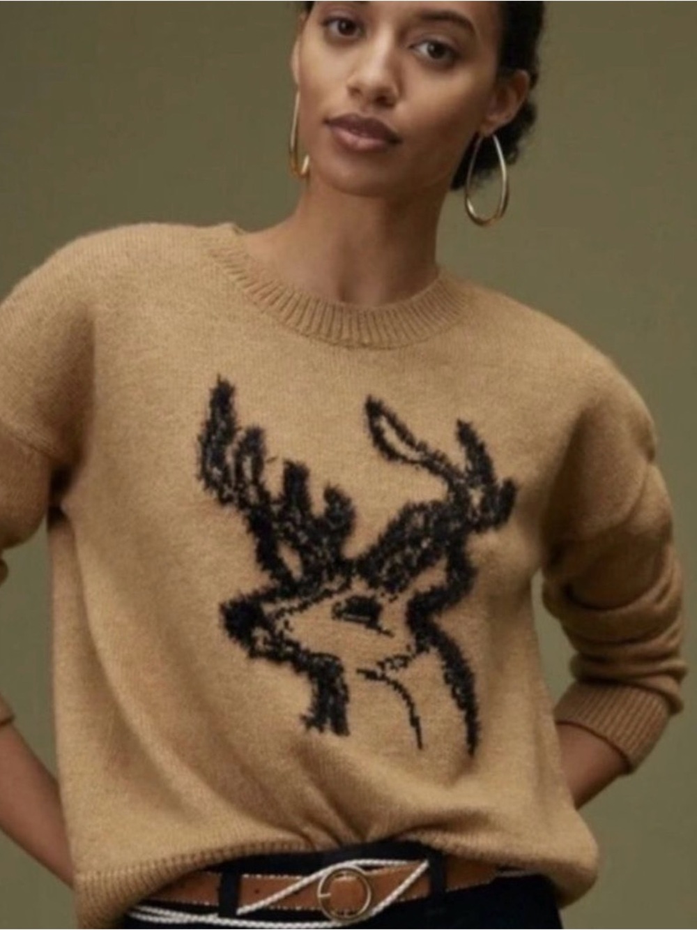 Like New Anthropologie Deer Sweater